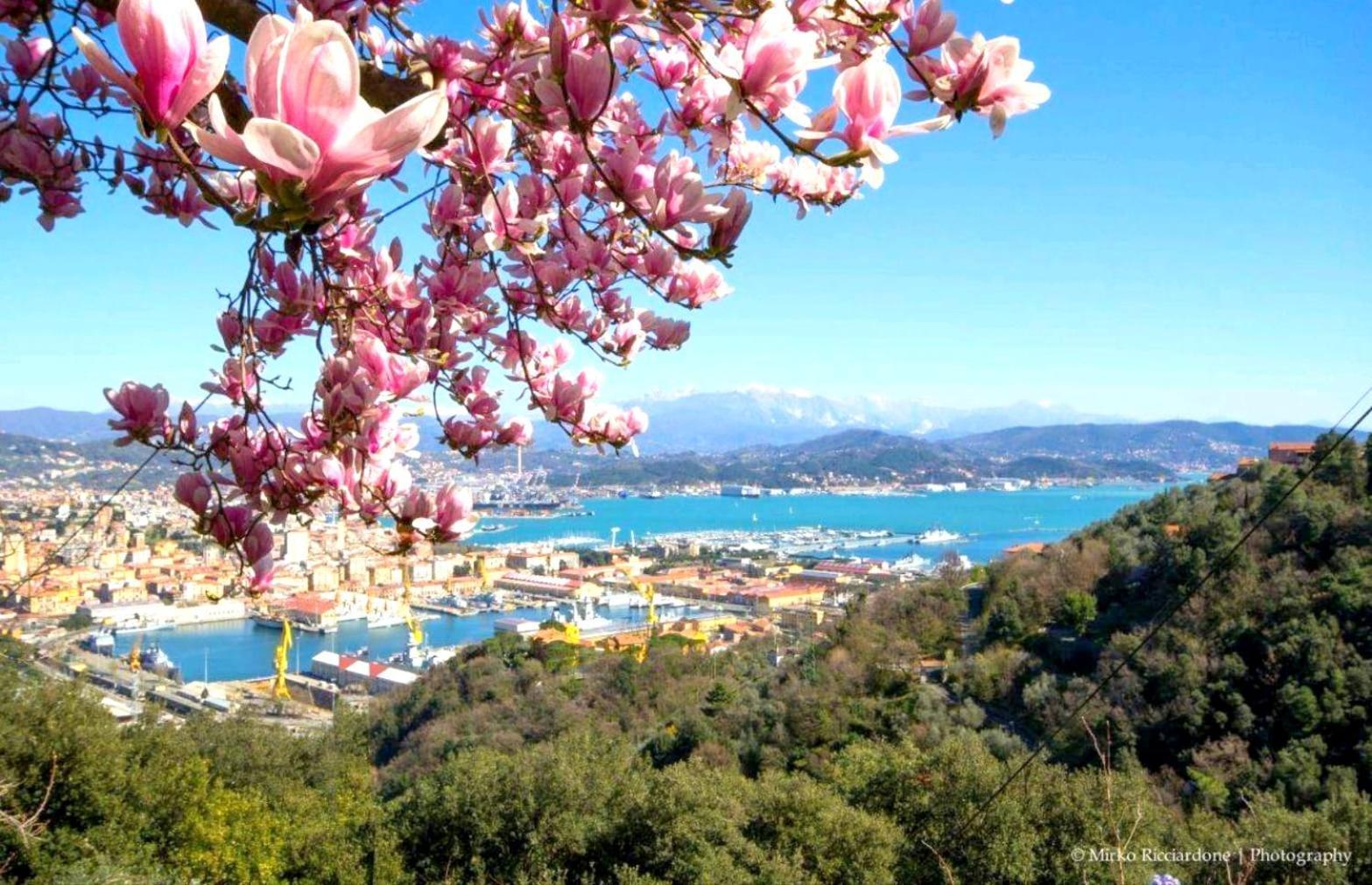 Casa Tartaruga Villa La Spezia Dış mekan fotoğraf